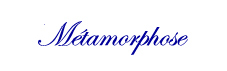 W1-metamorphose-b