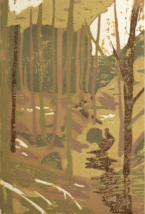 WE-06-FCforet