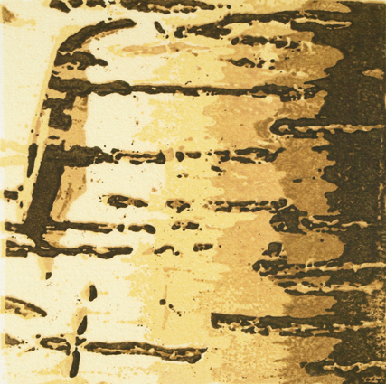 WE-07-ECbetula