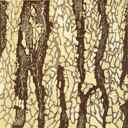 WE-07-ECpinusnigra