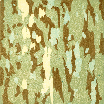 WE-07-ECplatanus