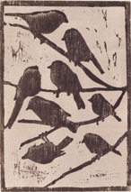 WE-08-LesOiseaux