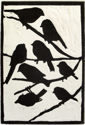 WE-09-DIOiseaux