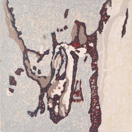 W12-DroleDOiseau