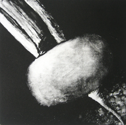 Monotype2 Radis1