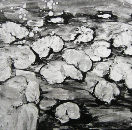 Monotype-nenuphar1