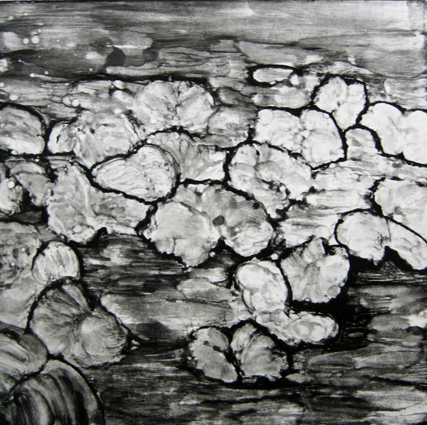 Monotype2-Nenuphar2