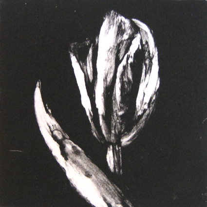 Monotype2-tulipe 1