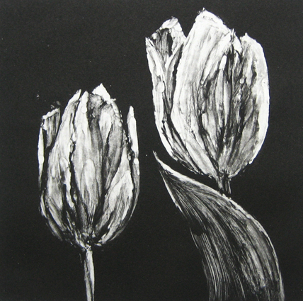 WM-08-tulipe2