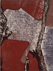 WP(abstraction)